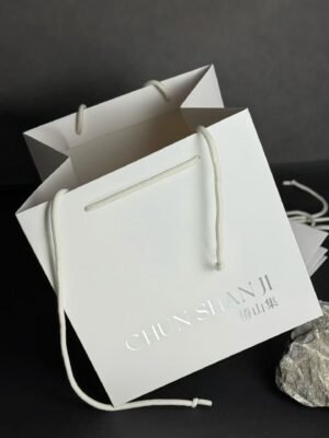 Square Paper Bag 6 Square-Paper-Bag-with- sliver logo