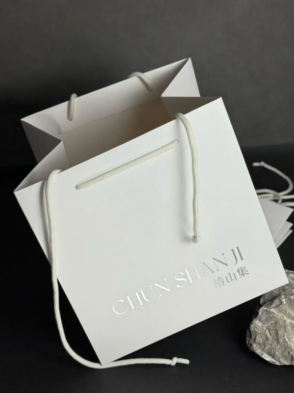 Square-Paper-Bag-with- sliver logo